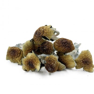 Magic Mushrooms - Costa Rican-Magic Mushrooms - Costa Rican-costa rican shrooms-Costa Rican - Magic Mushrooms - Wholesale