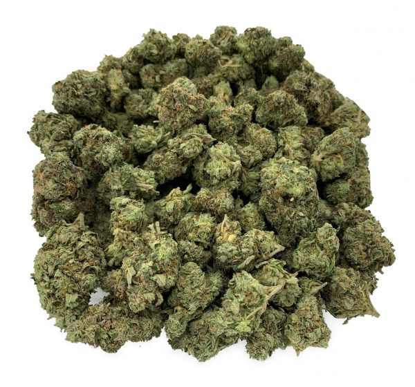 Four Star General - Wholesale