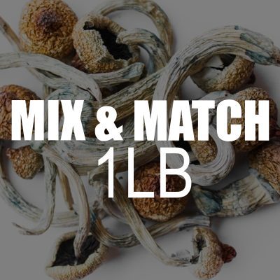 mix and match shrooms 1lb