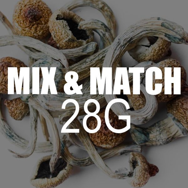mix and match shrooms 28g