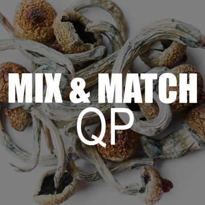 mix and match shrooms qp