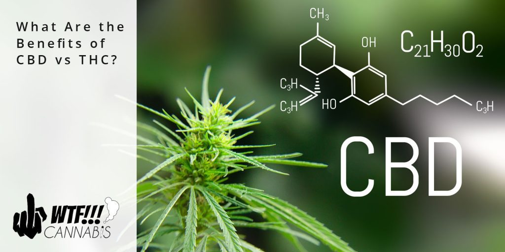 benefits of cbd