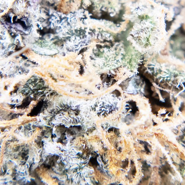 jungle cake oct macro