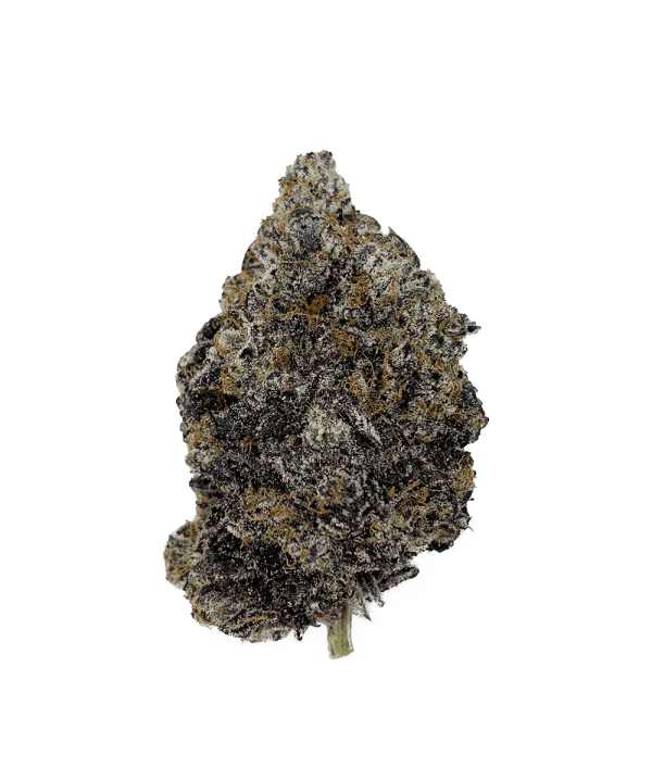 purple space cookies
