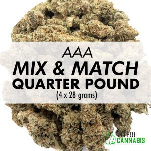 Mix Match AAA Quarter