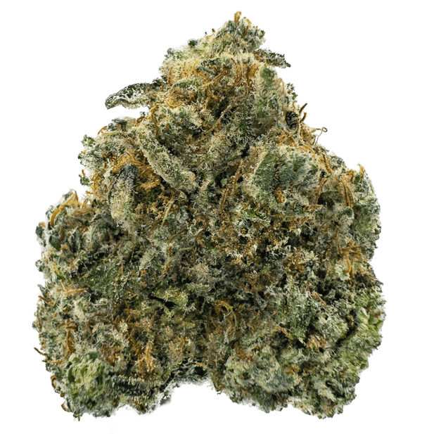 frosted fruitcake
