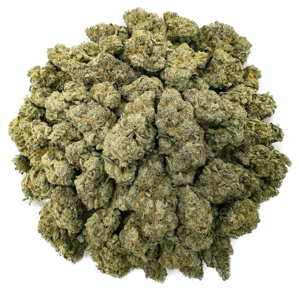 frosted fruitcake ws