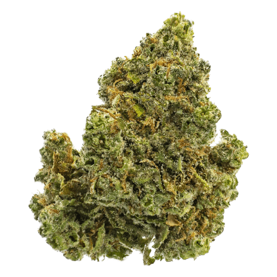 grease monkey