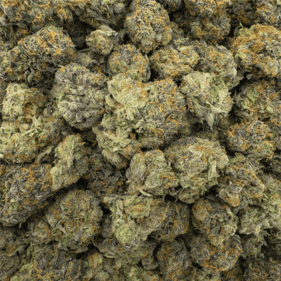 hindu kush z