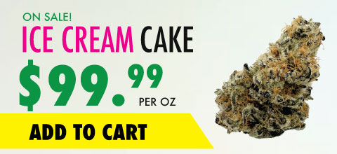 wtf product banner ice cream