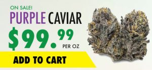 wtf product purple caviar banner