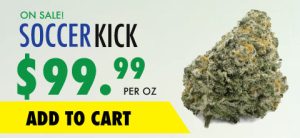 wtf product soccer kick banner