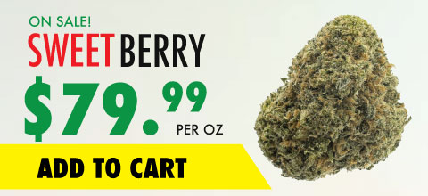 wtf product sweet berry banner