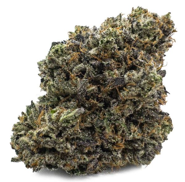 Animal Cookies