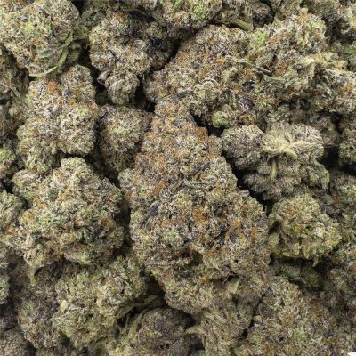 Animal Cookies z