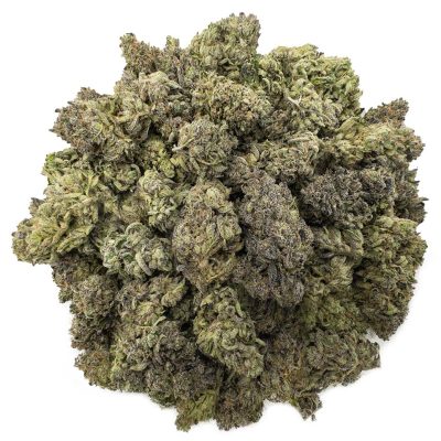Kush Sorbet ws