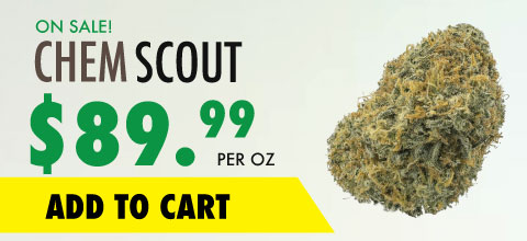 wtf product chem scout banner