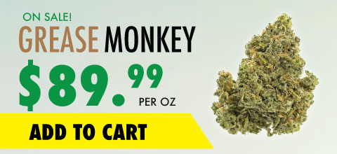 wtf product banner grease monkey