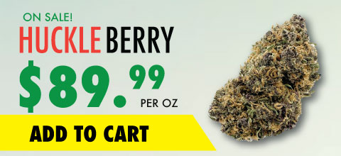 wtf product banner huckleberry