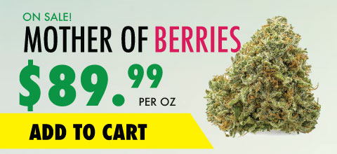 wtf product banner mother of berries