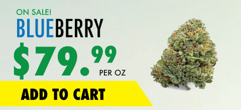 wtf product blueberry banner