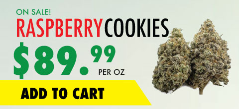 wtf product banner rasberry cookies