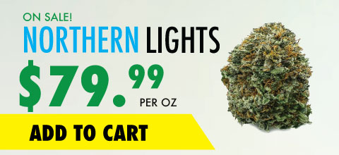 https://wtfcannabis.io/wp-content/uploads/2023/12/wtf-product-northern-lights-banner.jpg