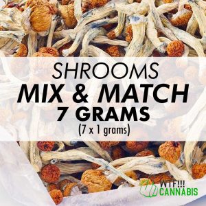 Mix and Match Magic Mushrooms Grams