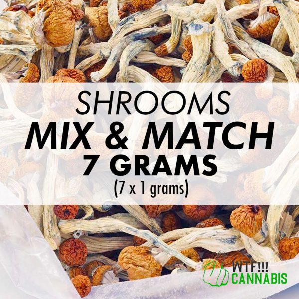mix and match shrooms g
