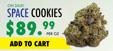 wtf product banner space cookies