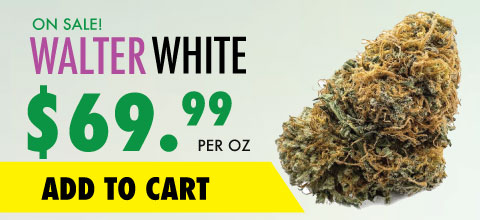 wtf product banner walter white