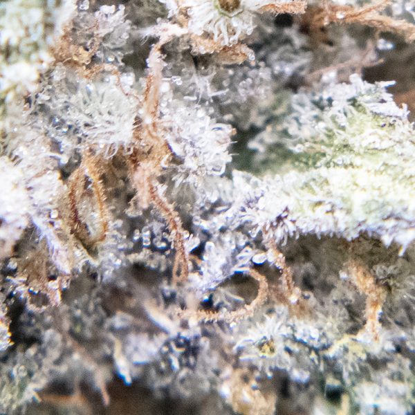 og chem oct macro