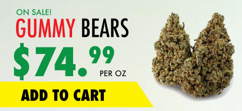 wtf product banner gummy bears