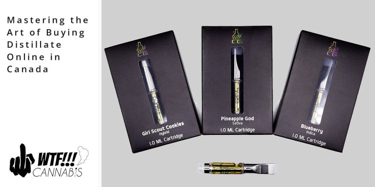Mastering the Art of Buying Distillate Online in Canada