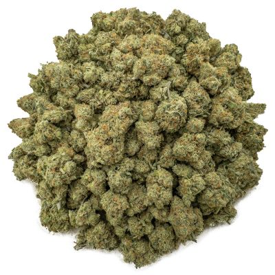 Girl Scout Cookies (GSC) - Wholesale