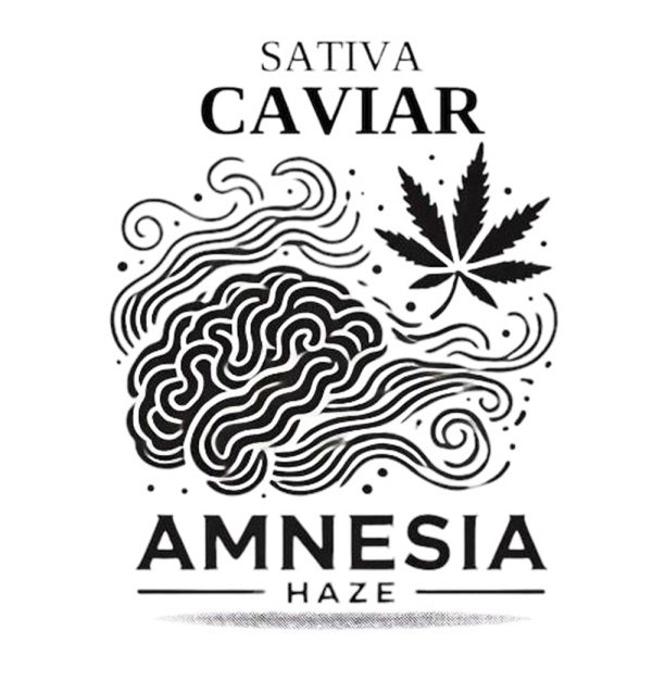 Amnesia haze logo