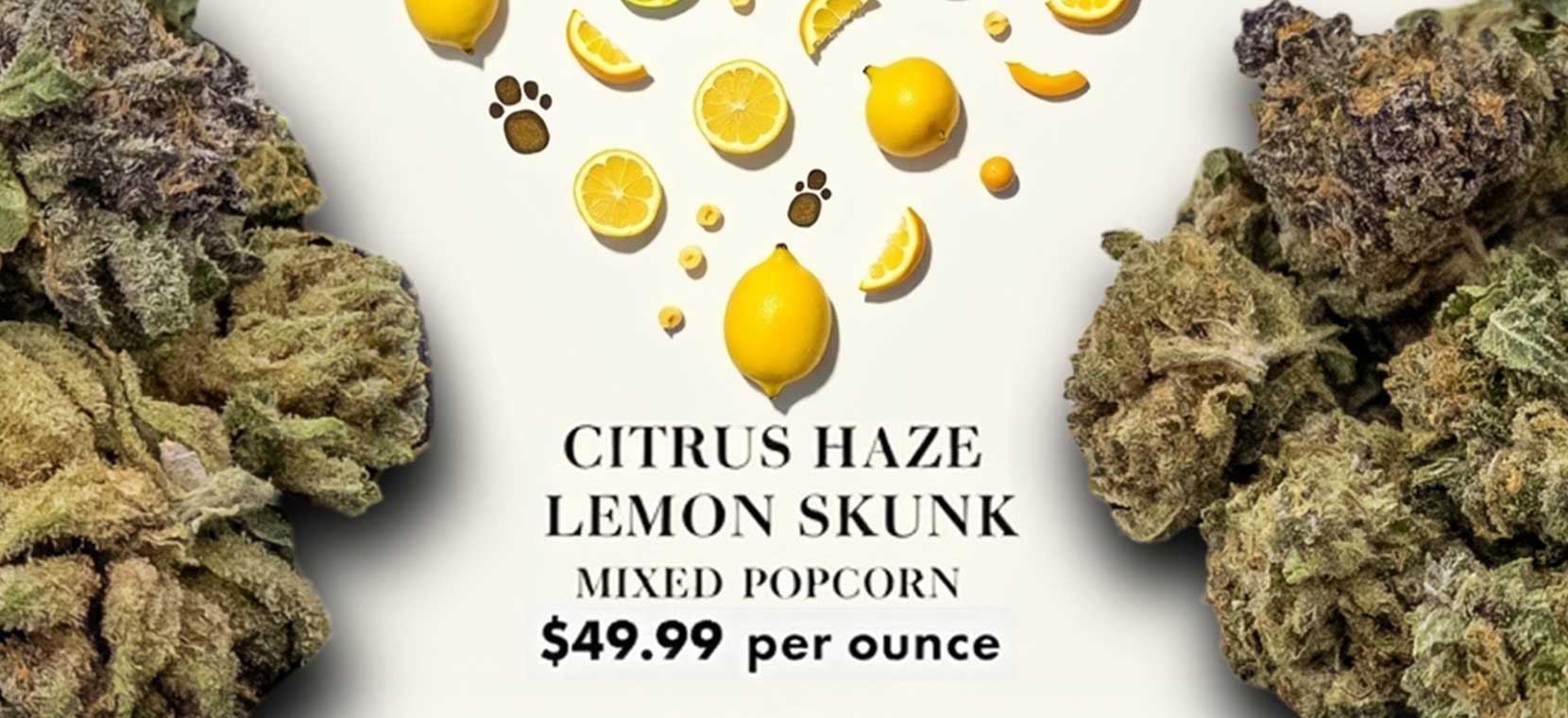 lemon skunk banner