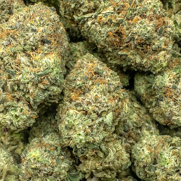 rockstar tuna oct ws zoom