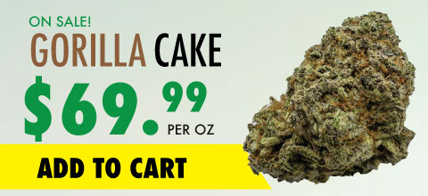 wtf gorilla cake banner