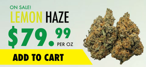 wtf lemon haze banner