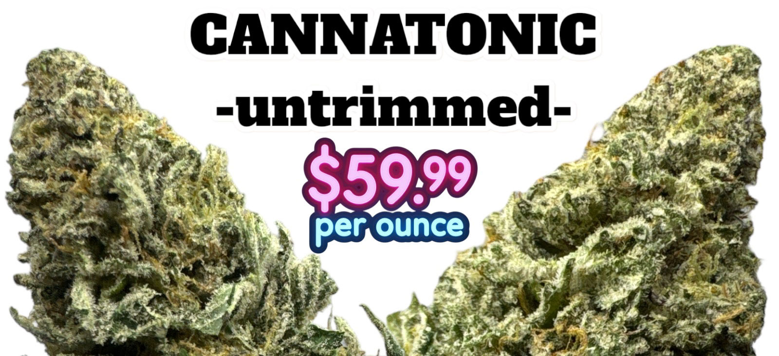 wtf cannatonic banner