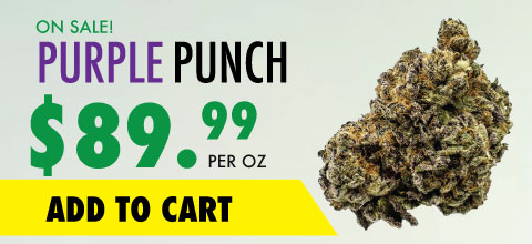 wtf purple punch banner