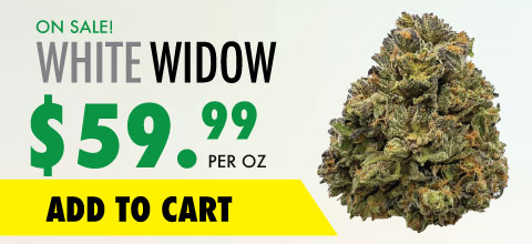 wtf white widow banner