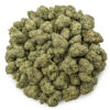 tropical cake ws