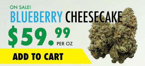 wtf blueberry cheesecake banner