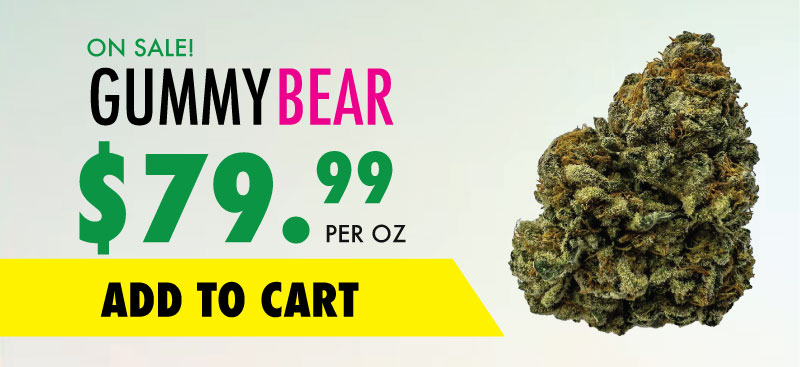 wtf gummy bear banner