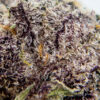 huckleberry m