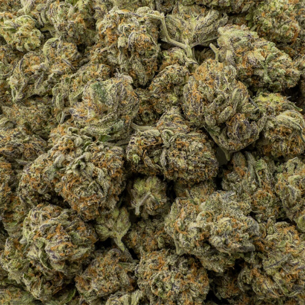 platinum kush z