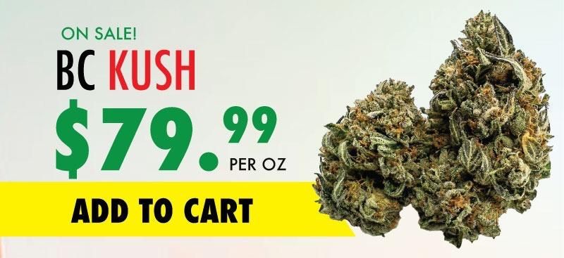 bckushsale