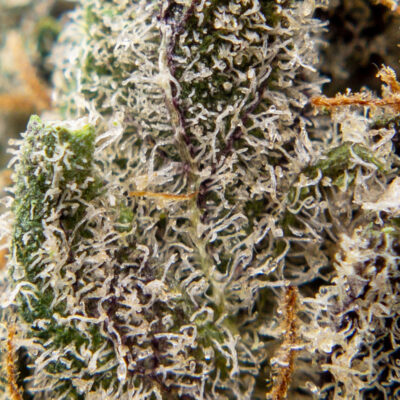 blackberry cheesecake m